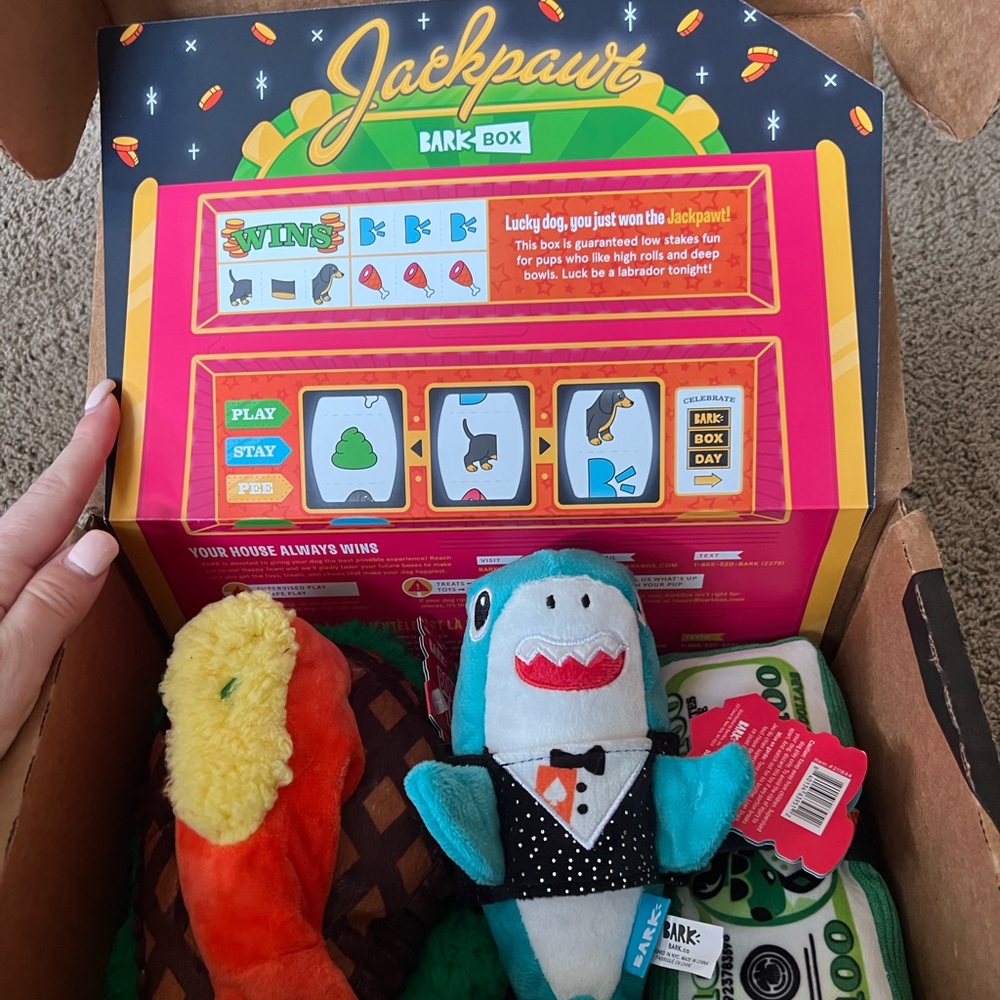 Casino Themed Bark Box